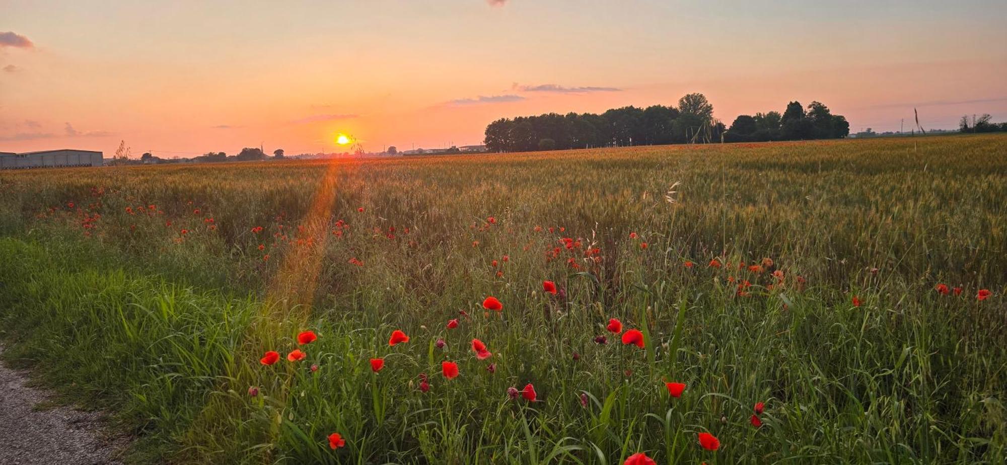Rb Bed & Breakfast Гаїба Екстер'єр фото